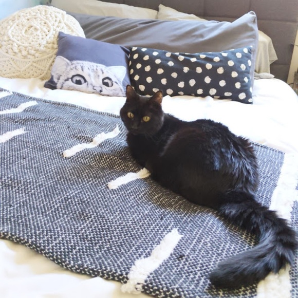 Meet your Posher, Zero (& Erin) - Picture 4 of 4